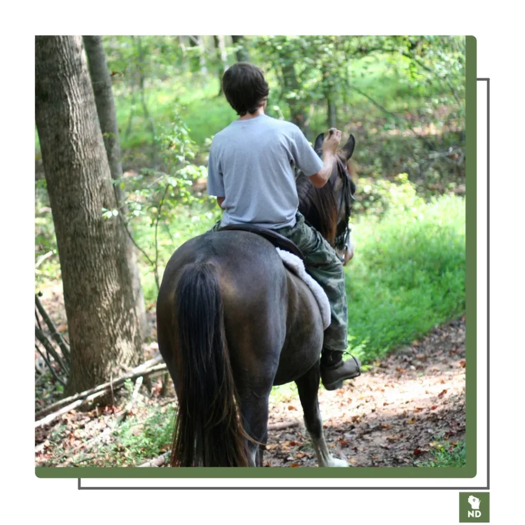 horse trail rides minocqua wi